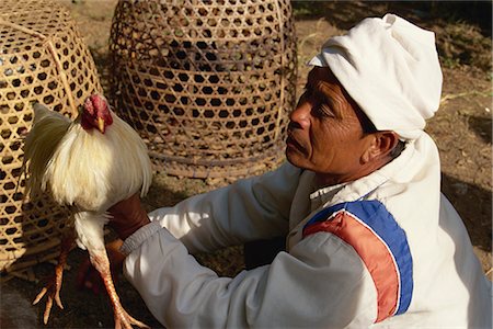 Man with rooster, highly prized fighting bird, Bali, Indonesia, Southeast Asia, Asia Stock Photo - Rights-Managed, Code: 841-02899052