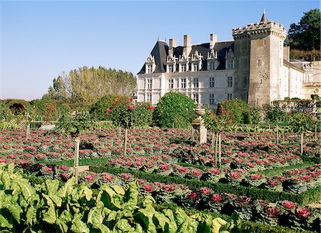 Chateau and gardens, Villandry, Touraine, Centre, France, Europe Stock Photo - Rights-Managed, Code: 841-02899453