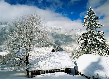 Snow covered barns, Wengen, Bernese Oberland, Swiss Alps, Switzerland, Europe Foto de stock - Con derechos protegidos, Código: 841-02899562