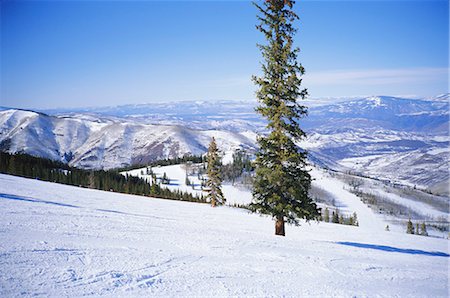 simsearch:841-02709240,k - Snowmass Ski Area near Aspen, Colorado, United States of America Foto de stock - Direito Controlado, Número: 841-02899783