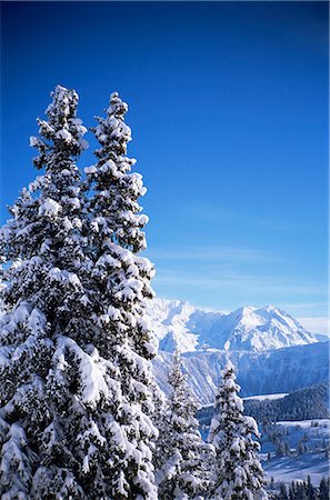 simsearch:841-02915184,k - Snow covered trees, Meribel, Trois Vallees, Haute-Savoie, French Alps, France, Europe Foto de stock - Con derechos protegidos, Código: 841-02899876