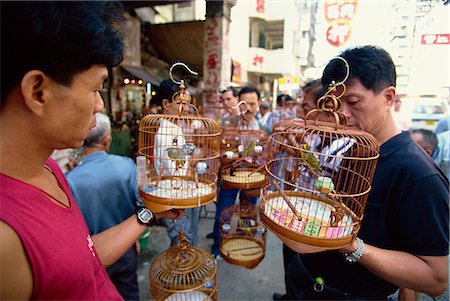 Birds in cages on Bird Street in Hong Kong, China, Asia Stock Photo - Rights-Managed, Code: 841-02900001
