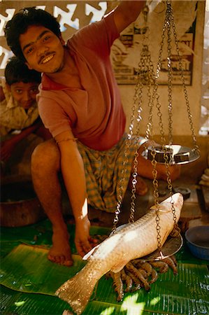 Fish market, Kolkata, West Bengal state, India, Asia Foto de stock - Con derechos protegidos, Código: 841-02900369