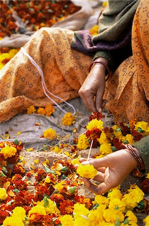 Flower market, Lado Sarai, Delhi, India, Asia Stock Photo - Rights-Managed, Code: 841-02900949