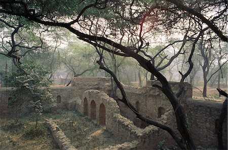 The Mehrauli Archaeological Park, Lado Sarai, Delhi, India, Asia Stock Photo - Rights-Managed, Code: 841-02900958