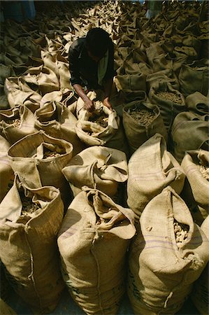 Hessian bags full of stem ginger, Cochin, Kerala state, India, Asia Foto de stock - Direito Controlado, Número: 841-02900975