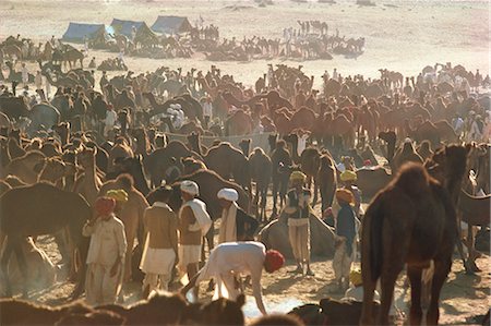 pushkar - Chameau Fair, Pushkar, Rajasthan État, Inde, Asie Photographie de stock - Rights-Managed, Code: 841-02900982