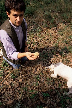 Paulo Cerutti with truffle and Diana the dog, Monta d'Alba, Barolo, Piemonte (Piedmont), Italy, Europe Foto de stock - Direito Controlado, Número: 841-02901037