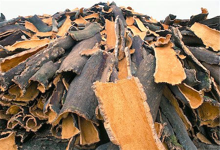 Cork bark for bottle corks stacked to dry near Tempio Pausania, island of Sardinia, Italy, Mediterranean, Europe Stock Photo - Rights-Managed, Code: 841-02901057