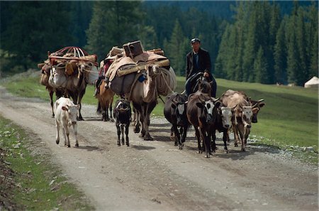 provincia di xinjiang - Summer migration of Kazaks, Altay Mountains, northeast Xinjiang, China, Asia Fotografie stock - Rights-Managed, Codice: 841-02901298