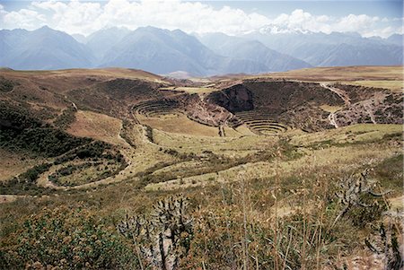 Interlinking terraces in natural landform, Cuzco, Moray, Peru, South America Foto de stock - Con derechos protegidos, Código: 841-02901437