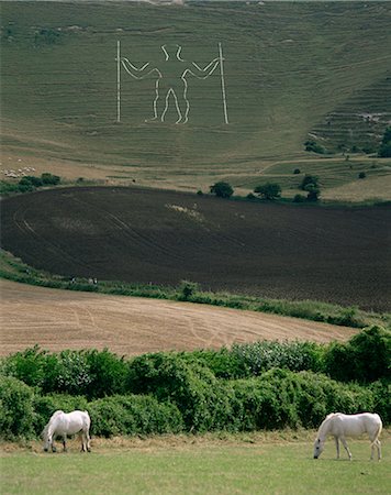 south downs england - The Long Man, Wilmington, East Sussex, England, United Kingdom, Europe Foto de stock - Con derechos protegidos, Código: 841-02901541