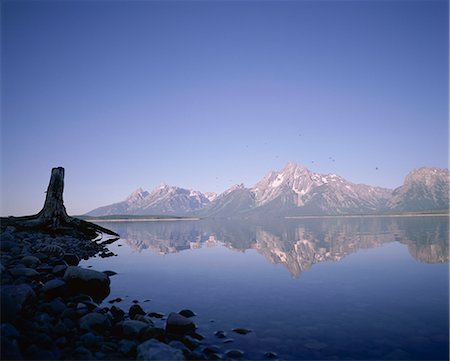 Earling morning reflections, Jackson Lake, Grand Teton National Park, Wyoming, United States of America (USA), North America Stock Photo - Rights-Managed, Code: 841-02901606