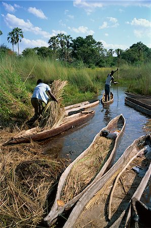 Mokoros (dugout canoes), Okavango Delta, Botswana, Africa Foto de stock - Con derechos protegidos, Código: 841-02901625