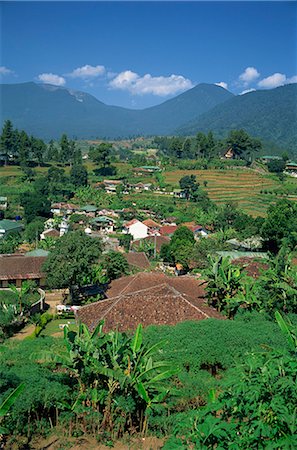 simsearch:841-06341176,k - The mountain resort of Puncak on Java, Indonesia, Southeast Asia, Asia Foto de stock - Direito Controlado, Número: 841-02901640