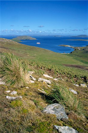 Landscape on New Island looking down to settlement and tourist ship in the bay, on West Falkland in the Falkland Islands, South Atlantic, South America Stock Photo - Rights-Managed, Code: 841-02901728