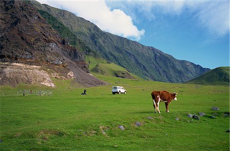 Pastures near settlement of Edinburgh, Tristan da Cunha, mid-Atlantic Stock Photo - Rights-Managed, Code: 841-02901775