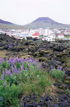 simsearch:841-02706770,k - Lave de l'éruption de 1973 au premier plan, l'île de Heimaey, îles Westmann, en Islande, les régions polaires Photographie de stock - Rights-Managed, Code: 841-02901794