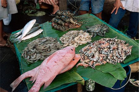 Fish market, Jakarta, Java, Indonesia, Southeast Asia, Asia Foto de stock - Con derechos protegidos, Código: 841-02901896