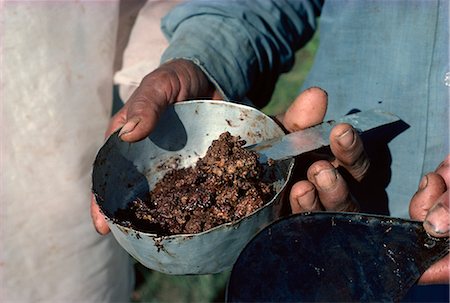Raw opium, Rajasthan state, India, Asia Stock Photo - Rights-Managed, Code: 841-02901921