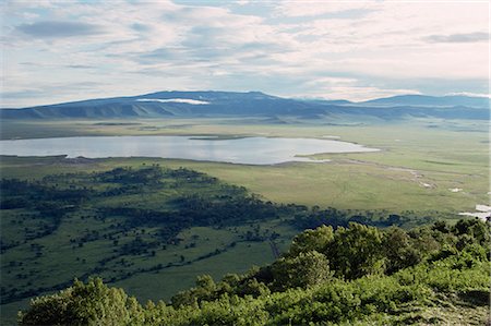 Ngorongoro Crater, UNESCO World Heritage Site, Tanzania, East Africa, Africa Fotografie stock - Rights-Managed, Codice: 841-02902004