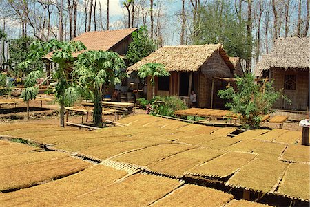 Tobacco drying outside, near Dalat, South Vietnam, Vietnam, Indochina, Southeast Asia, Asia Stock Photo - Rights-Managed, Code: 841-02902018