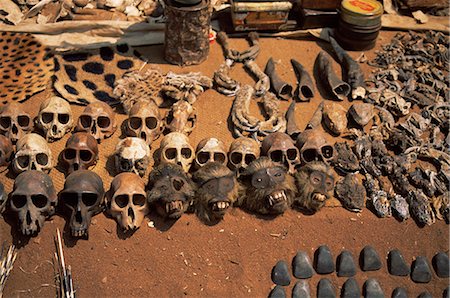 Primate skulls for sale in the market at Vogan, Togo, West Africa, Africa Stock Photo - Rights-Managed, Code: 841-02902292