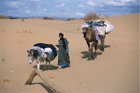 donkey loaded - Camel man leading donkey and two camels on desert trek, Draa Valley, Morocco, North Africa, Africa Stock Photo - Rights-Managed, Code: 841-02902305