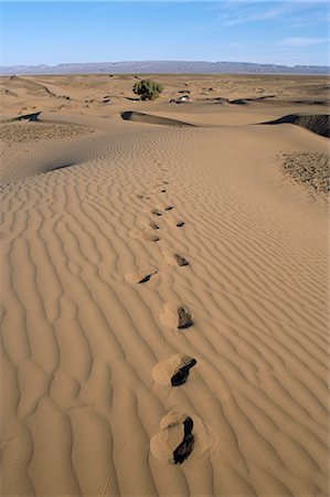 simsearch:841-03058541,k - Dunes et camp sous l'arbre à la distance à Erg Al Hatin, desert trek, vallée du Draa, au Maroc, en Afrique du Nord, Afrique Photographie de stock - Rights-Managed, Code: 841-02902303