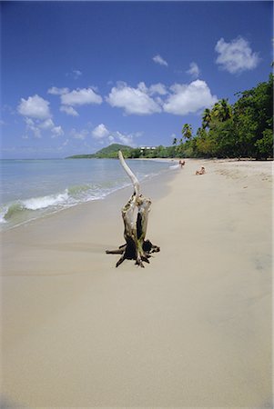 saint lucia beach - Plage de Choc Bay, Sainte-Lucie, îles sous-le-vent, Antilles, Caraïbes, Amérique centrale Photographie de stock - Rights-Managed, Code: 841-02902884