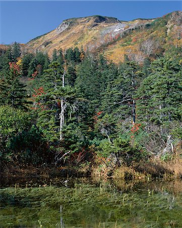 simsearch:841-03035755,k - Kogen Onsen, Daisetsuzan National Park, island of Hokkaido, Japan, Asia Foto de stock - Con derechos protegidos, Código: 841-02903229