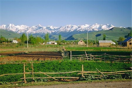 simsearch:841-02722972,k - Tersey Alatoo mountains by Lake Issyk-Kul, Tien Shan (Tian Shan) Range, Kirghizstan (Kyrgyzstan), FSU, Central Asia, Asia Stock Photo - Rights-Managed, Code: 841-02903318