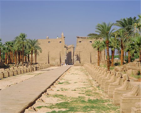 simsearch:841-03066642,k - Allée des sphinx et des statues de Ramsès II, Temple de Luxor, Luxor, Égypte Photographie de stock - Rights-Managed, Code: 841-02903337