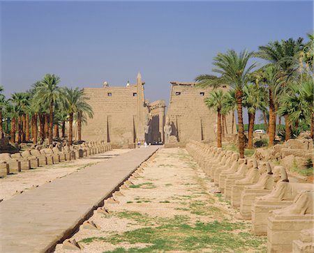 simsearch:841-03034539,k - Avenue of Sphinxes and statues of Ramses II, Luxor Temple, Luxor, Egypt Foto de stock - Con derechos protegidos, Código: 841-02903337