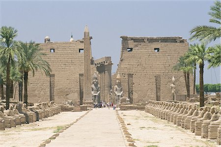 simsearch:841-02917077,k - Allée de sphinx regardant vers les statues de Ramsès II, Temple de Luxor, Luxor, Thèbes, Maghreb, Afrique Photographie de stock - Rights-Managed, Code: 841-02903332