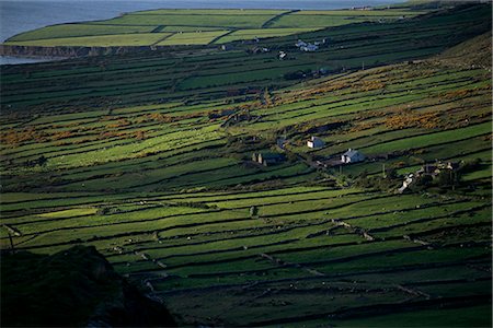 Looking towards the Bera Peninsula from the Ring of Kerry road, Iveragh Peninsula, County Kerry, Munster, Eire (Republic of Ireland), Europe Foto de stock - Con derechos protegidos, Código: 841-02903353