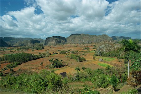 simsearch:841-03868266,k - The Sierra De Los Oragnos mountains near Vinales, Cuba, West Indies, Caribbean, Central America Foto de stock - Con derechos protegidos, Código: 841-02903535