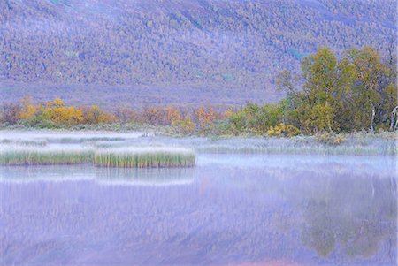 simsearch:841-02708119,k - Laponia World Heritage Site, Lappland, Sweden, Scandinavia, Europe Foto de stock - Con derechos protegidos, Código: 841-02903637