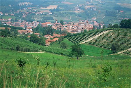 Vignobles près de Dogliani, Langhe, Piémont, Italie, Europe Photographie de stock - Rights-Managed, Code: 841-02914914