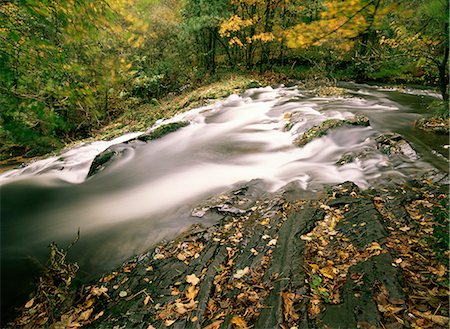 simsearch:841-02920383,k - Force tombe à l'automne, la vallée de Ruscand, Parc National de Lake District, Cumbria, Angleterre, Royaume-Uni, Europe Photographie de stock - Rights-Managed, Code: 841-02914977