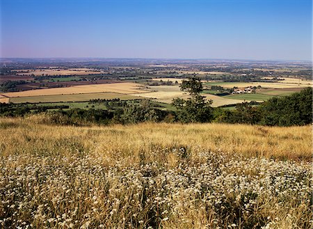 simsearch:841-02706617,k - View from the Ridgeway of the Vale of Aylesbury, Buckinghamshire, England, United Kingdom, Europe Foto de stock - Direito Controlado, Número: 841-02914995