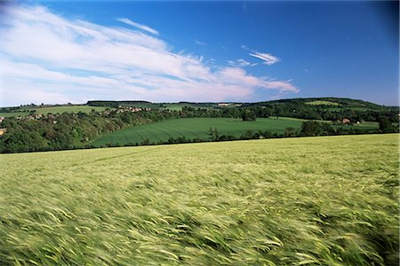 Farmland, Darent Valley, North Downs, near Eynsford, Kent, England, United Kingdom, Europe Stock Photo - Rights-Managed, Code: 841-02915081