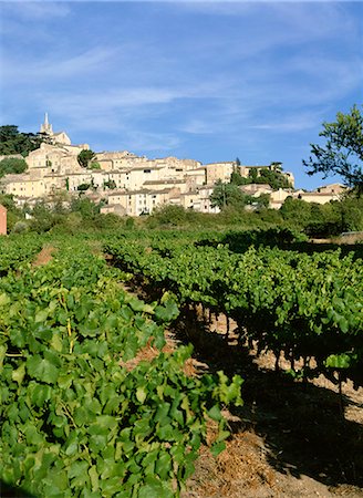 Vigne dans le vignoble, village de Bonnieux, Luberon, Vaucluse, Provence, France, Europe Photographie de stock - Rights-Managed, Code: 841-02915143