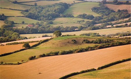 simsearch:841-02899748,k - Countryside along coast path to Thornecombe Beacon, Eype Mouth, Jurassic Coast, near Bridport, Dorset, England, United Kingdom, Europe Foto de stock - Con derechos protegidos, Código: 841-02915426