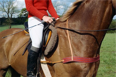 sattel - Pferd mit Brustplatte, England, Vereinigtes Königreich, Europa Stockbilder - Lizenzpflichtiges, Bildnummer: 841-02915462