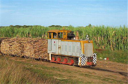 rail engine photos - Sugar cane train, west coast lowlands, Viti Levu, Fiji, Pacific Islands, Pacific Stock Photo - Rights-Managed, Code: 841-02915660