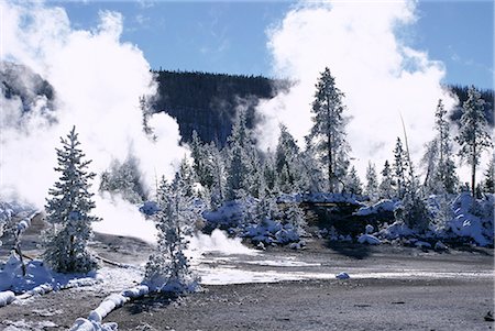 Geothermal steam, frosted trees and snow-free hot ground in Norris Basin in winter, Yellowstone National Park, UNESCO World Heritage Site, Wyoming, United States of America (U.S.A.), North America Stock Photo - Rights-Managed, Code: 841-02915680