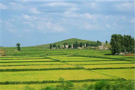 simsearch:841-03675389,k - Rice fields in Imjin Valley, Kaesong, North Korea, Asia Stock Photo - Rights-Managed, Code: 841-02915720