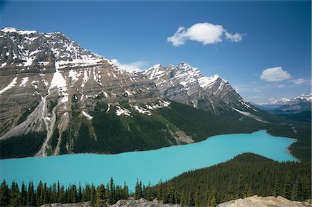 Peyto Lake, coloured by glacial silt, Banff-Jasper National Parks, Canada, North America Foto de stock - Con derechos protegidos, Código: 841-02915746