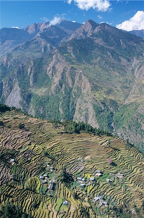 simsearch:841-02918663,k - Terraced fields in upper Trisuli Valley, above village of Bharku, Trisuli, Himalayas, Nepal, Asia Stock Photo - Rights-Managed, Code: 841-02915759